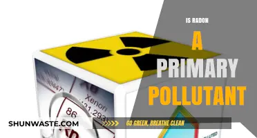 Radon: Primary Pollutant or Not?