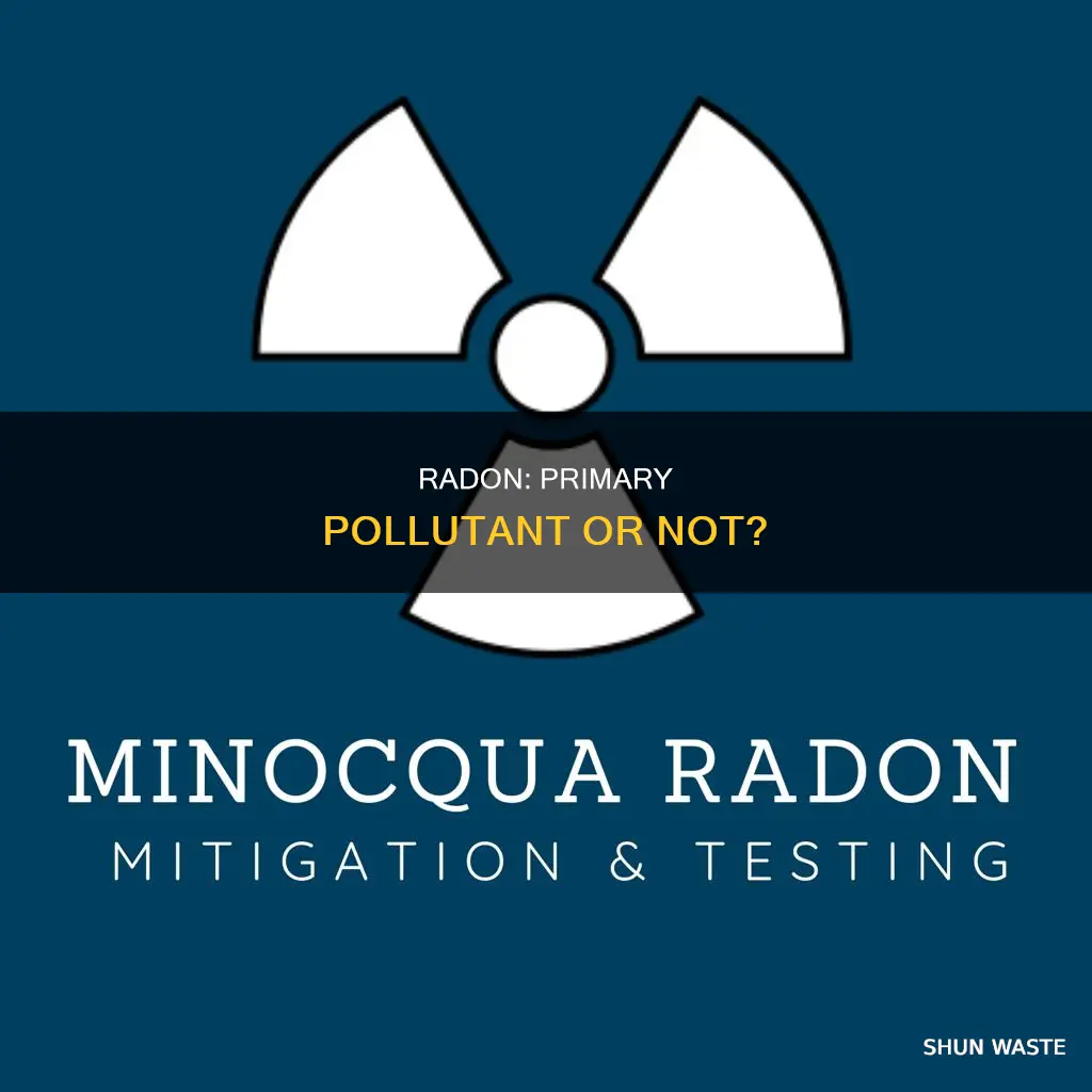 is radon a primary pollutant