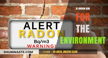 Radon's Environmental Impact: Uncovering the Hidden Dangers and Risks