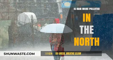Urban Rain: North vs South