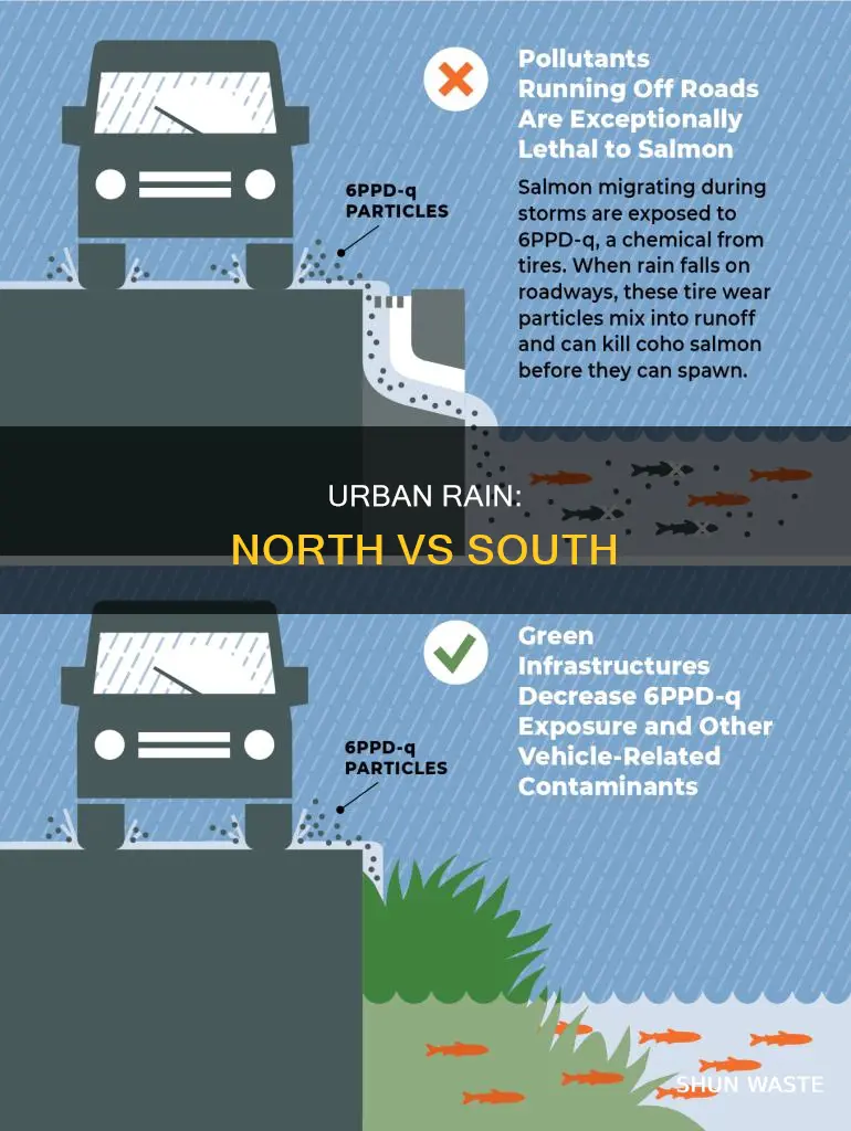 is rain more polluted in the north