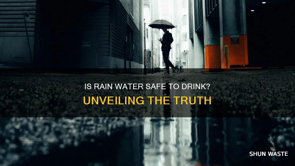 is rain water polluted