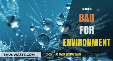 Rain-X Environmental Impact: Harmful or Harmless for Our Planet?
