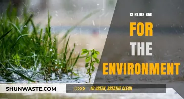 Rain-X Environmental Impact: Is It Harming Our Planet?