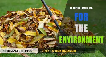 Raking Leaves: Eco-Friendly Practice or Harmful to the Environment?