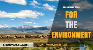 Ranching's Environmental Impact: Sustainable Practices or Ecological Harm?