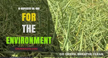 Rapeseed Oil's Environmental Impact: Sustainable Choice or Ecological Concern?