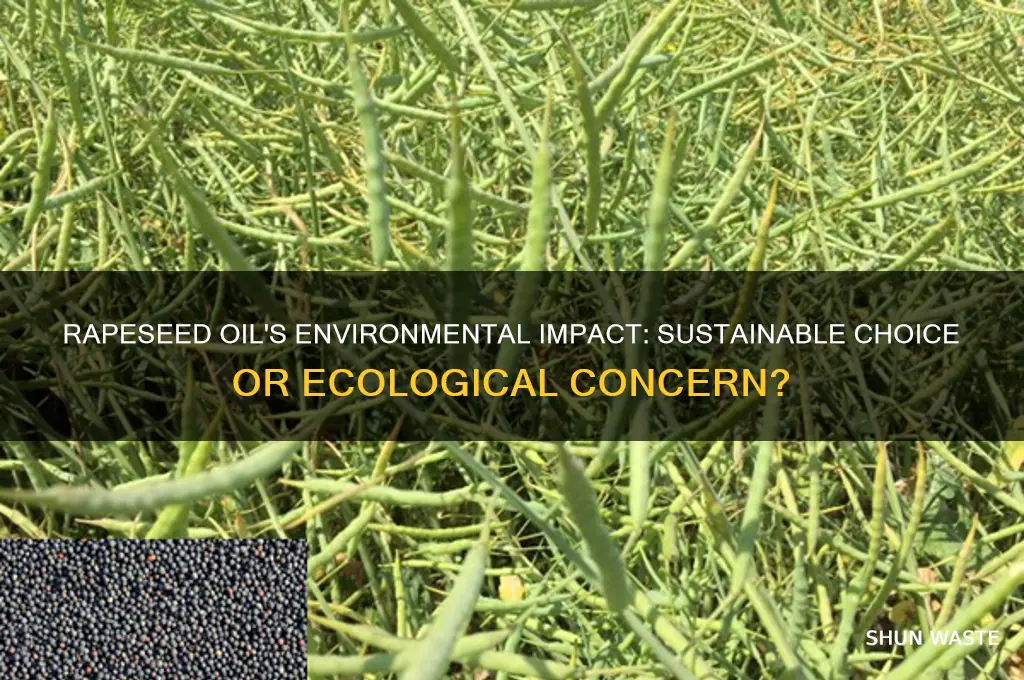 is rapeseed oil bad for the environment