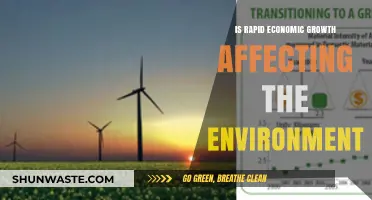 Rapid Economic Growth: Environmental Impact and Sustainable Solutions