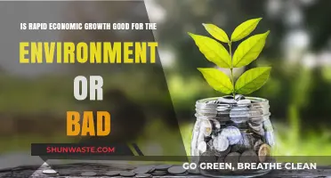 Economic Growth vs. Environment: Balancing Progress and Sustainability