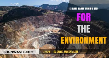 Rare Earth Mining's Environmental Impact: A Sustainable Future at Risk?
