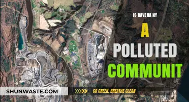 Ravena, NY: A Polluted Community?