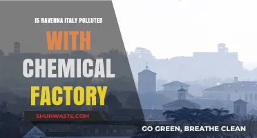 Ravenna, Italy: Chemical Pollution and its Impact