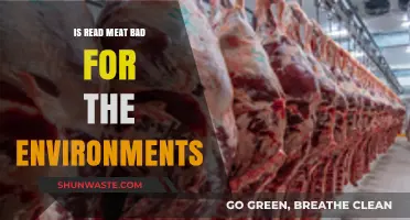 Red Meat's Environmental Impact: Uncovering the Hidden Costs of Consumption