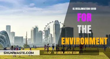 Reclamation's Environmental Impact: Balancing Restoration and Ecological Consequences
