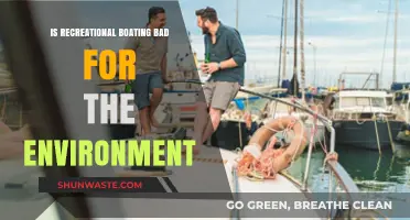 Recreational Boating's Environmental Impact: Harmful or Sustainable?