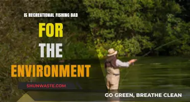 Recreational Fishing's Environmental Impact: Harmful Hobby or Sustainable Practice?