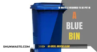 Blue Bin Recycling: Essential or Optional for Eco-Friendly Waste Disposal?