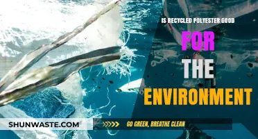 Recycled Polyester: Eco-Friendly Solution or Environmental Compromise?