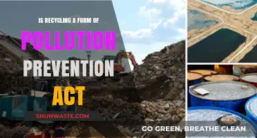 Recycling: Pollution Prevention Act in Action