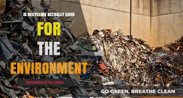 Is Recycling Eco-Friendly? Uncovering the Environmental Impact of Recycling