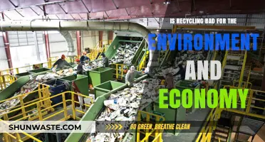 Recycling's Environmental and Economic Impact: Harmful or Helpful?