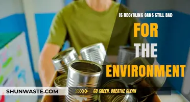 Recycling Cans: Environmental Savior or Hidden Eco-Disaster?