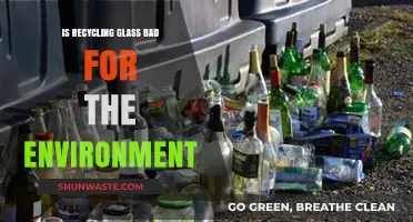 Recycling Glass: Environmental Benefits or Hidden Ecological Costs?