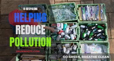 Recycling: Pollution Solution or Complex Environmental Issue?