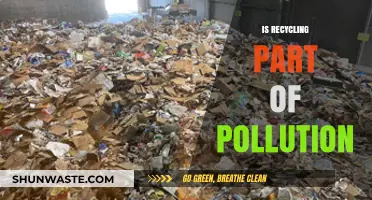 Recycling's Pollution Paradox: Harmful or Helpful?