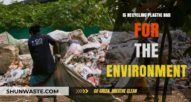 Recycling Plastic: Environmental Savior or Hidden Eco-Disaster?