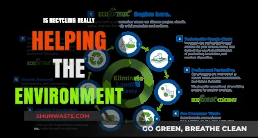Is Recycling Effective? Uncovering the Environmental Impact of Our Efforts