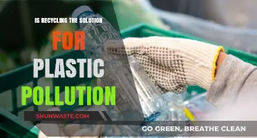 Recycling: Plastic Pollution's Solution or Stopgap?