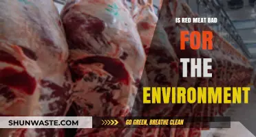 Red Meat's Environmental Impact: Sustainable Diets and Climate Change