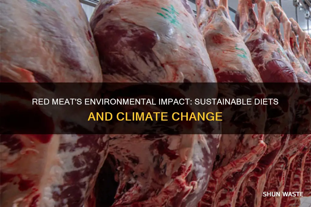 is red meat bad for the environment