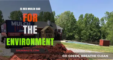 Red Mulch: Environmental Impact and Sustainable Gardening Alternatives