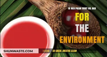 Red Palm Fruit Oil: Environmental Impact and Sustainability Concerns