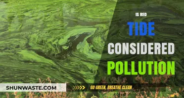 The Red Tide Conundrum: Pollution or Natural Phenomenon?