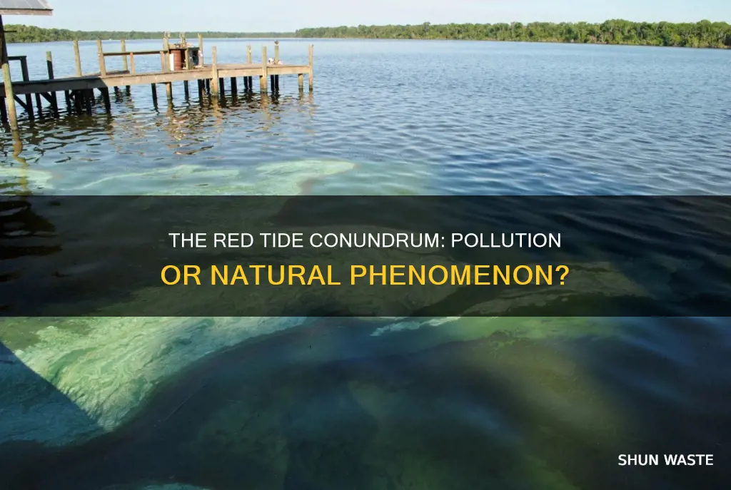 is red tide considered pollution
