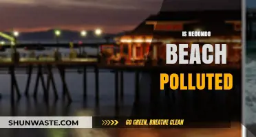 Redondo Beach Pollution: Is It Safe to Swim?