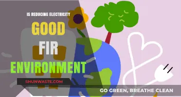 Reducing Electricity Consumption: A Sustainable Path to Environmental Preservation