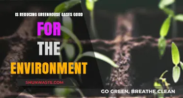 Reducing Greenhouse Gases: Environmental Benefits and Global Impact Explained