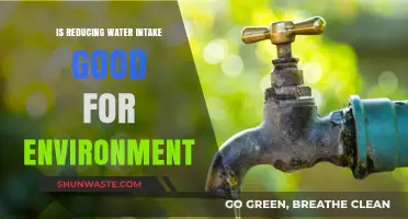 Reducing Water Intake: A Sustainable Choice for Our Environment?