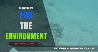 Reefing's Environmental Impact: Sustainable Practice or Ecological Threat?
