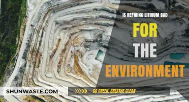 Environmental Impact of Lithium Refining: Sustainable or Harmful Practice?