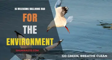 The Environmental Impact of Balloon Releases: Harmful or Harmless?