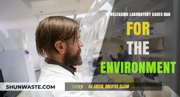 Environmental Impact of Laboratory Gas Emissions: Harmful or Harmless?