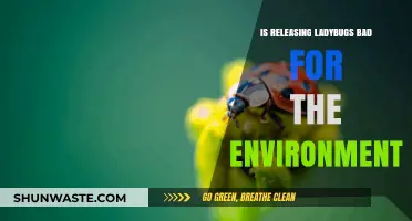Are Ladybugs Eco-Friendly? Uncovering the Environmental Impact of Releasing Them