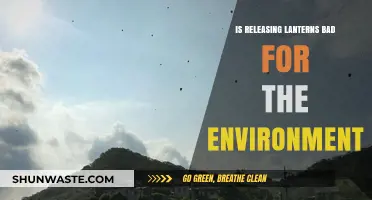 Are Sky Lanterns Eco-Friendly? Environmental Impact Explained