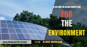 Solar Energy's Environmental Impact: Sustainable Solution or Hidden Hazard?
